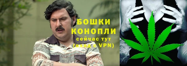 мдпв Володарск