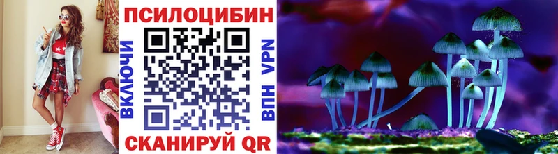Псилоцибиновые грибы MAGIC MUSHROOMS  наркотики  Евпатория 